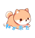 キュートな柴犬ベビーの生活Ver5(にほんご)（個別スタンプ：14）