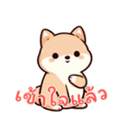 キュートな柴犬ベビーの生活 Ver5 (タイ)（個別スタンプ：11）