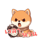 キュートな柴犬ベビーの生活 Ver5 (タイ)（個別スタンプ：13）
