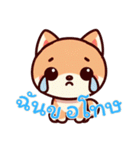 キュートな柴犬ベビーの生活 Ver5 (タイ)（個別スタンプ：21）