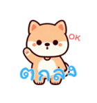 キュートな柴犬ベビーの生活 Ver5 (タイ)（個別スタンプ：23）
