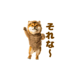 踊る！着ぐるみ犬。（個別スタンプ：4）