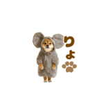 踊る！着ぐるみ犬。（個別スタンプ：5）
