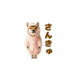踊る！着ぐるみ犬。（個別スタンプ：7）