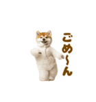 踊る！着ぐるみ犬。（個別スタンプ：8）