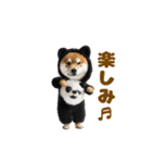 踊る！着ぐるみ犬。（個別スタンプ：10）