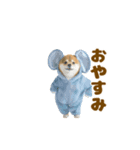 踊る！着ぐるみ犬。（個別スタンプ：12）
