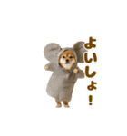 踊る！着ぐるみ犬。（個別スタンプ：18）