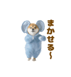 踊る！着ぐるみ犬。（個別スタンプ：20）