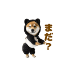 踊る！着ぐるみ犬。（個別スタンプ：23）