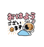 仲良し兄弟猫スタンプ（個別スタンプ：7）