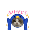 こまり【短足マンチカン】（個別スタンプ：5）