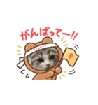 こまり【短足マンチカン】（個別スタンプ：8）