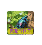 動く！昆虫たちの stamp（個別スタンプ：4）