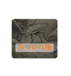 動く！昆虫たちの stamp（個別スタンプ：5）