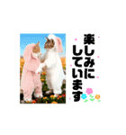 改良♡ラブリー動く猫スタンプ♡日常♡敬語（個別スタンプ：9）