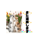 改良♡ラブリー動く猫スタンプ♡日常♡敬語（個別スタンプ：11）