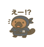 かわいい忍者のカモノハシのスタンプ 001（個別スタンプ：16）