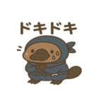 かわいい忍者のカモノハシのスタンプ 001（個別スタンプ：23）