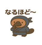 かわいい忍者のカモノハシのスタンプ 001（個別スタンプ：34）