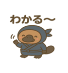 かわいい忍者のカモノハシのスタンプ 001（個別スタンプ：36）