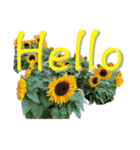 Flower〜（個別スタンプ：2）