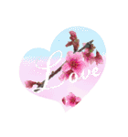 Flower〜（個別スタンプ：11）