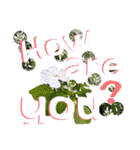 Flower〜（個別スタンプ：13）