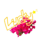 Flower〜（個別スタンプ：32）