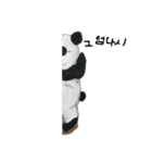 Warupan korian-1（個別スタンプ：1）