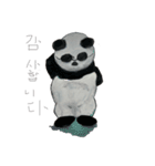 Warupan korian-1（個別スタンプ：6）