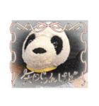 パンタンの春スタンプ（個別スタンプ：2）