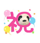 パンタンの春スタンプ（個別スタンプ：3）