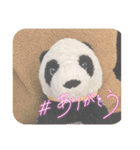 パンタンの春スタンプ（個別スタンプ：9）