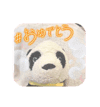 パンタンの春スタンプ（個別スタンプ：10）
