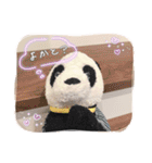 パンタンの春スタンプ（個別スタンプ：12）