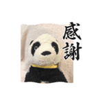 パンタンの春スタンプ（個別スタンプ：19）