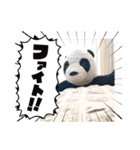 パンタンの春スタンプ（個別スタンプ：21）