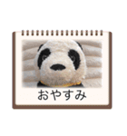 パンタンの春スタンプ（個別スタンプ：24）