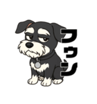 ミニチュアシュナウザーのカイくん（個別スタンプ：2）