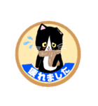 猫のさくらとあんこの日常です 。。（個別スタンプ：12）