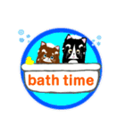 猫のさくらとあんこの日常です 。。（個別スタンプ：19）