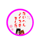 猫のさくらとあんこの日常です 。。（個別スタンプ：40）