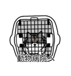 猫あるある（ハチワレサバ猫／長毛）（個別スタンプ：8）