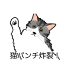 猫あるある（ハチワレサバ猫／長毛）（個別スタンプ：17）
