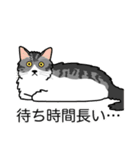猫あるある（ハチワレサバ猫／長毛）（個別スタンプ：22）
