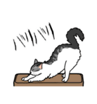 猫あるある（ハチワレサバ猫／長毛）（個別スタンプ：28）
