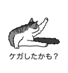 猫あるある（ハチワレサバ猫／長毛）（個別スタンプ：34）