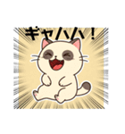 ちょいポチャ猫さんのLINEスタンプ（個別スタンプ：2）