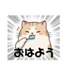 ちょいポチャ猫さんのLINEスタンプ（個別スタンプ：4）